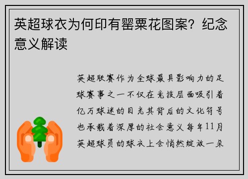 英超球衣为何印有罂粟花图案？纪念意义解读